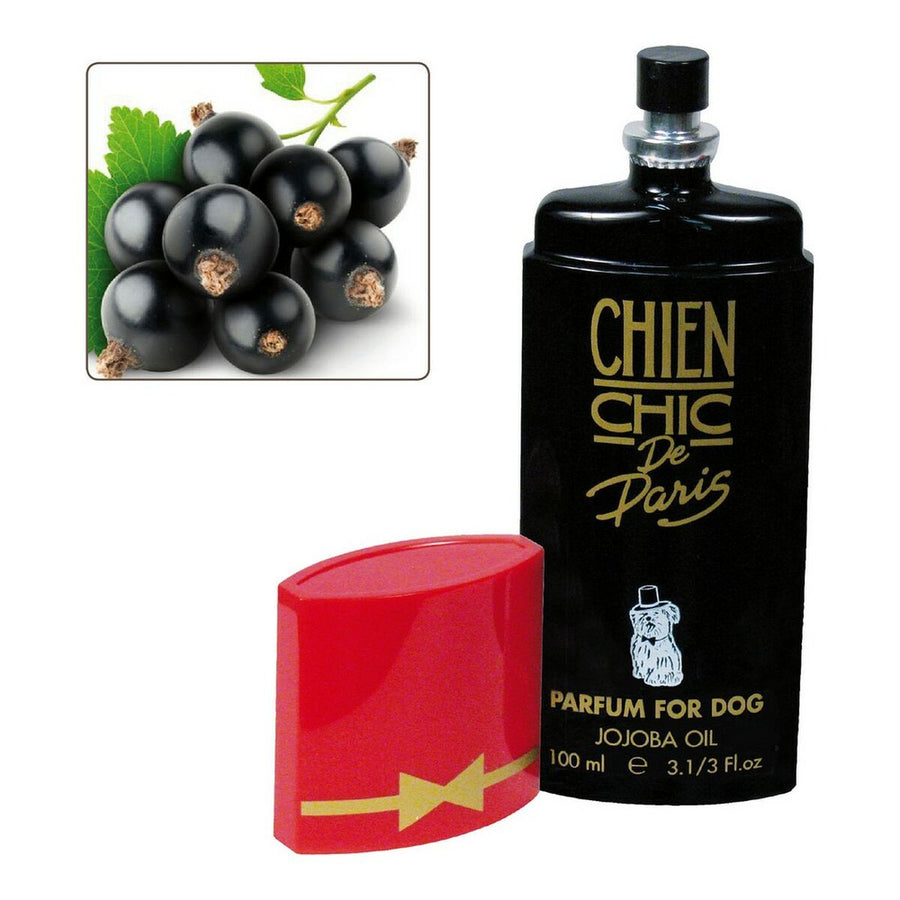 Kvepalai gyvūnams Chien Chic Dog Currant (100 ml)