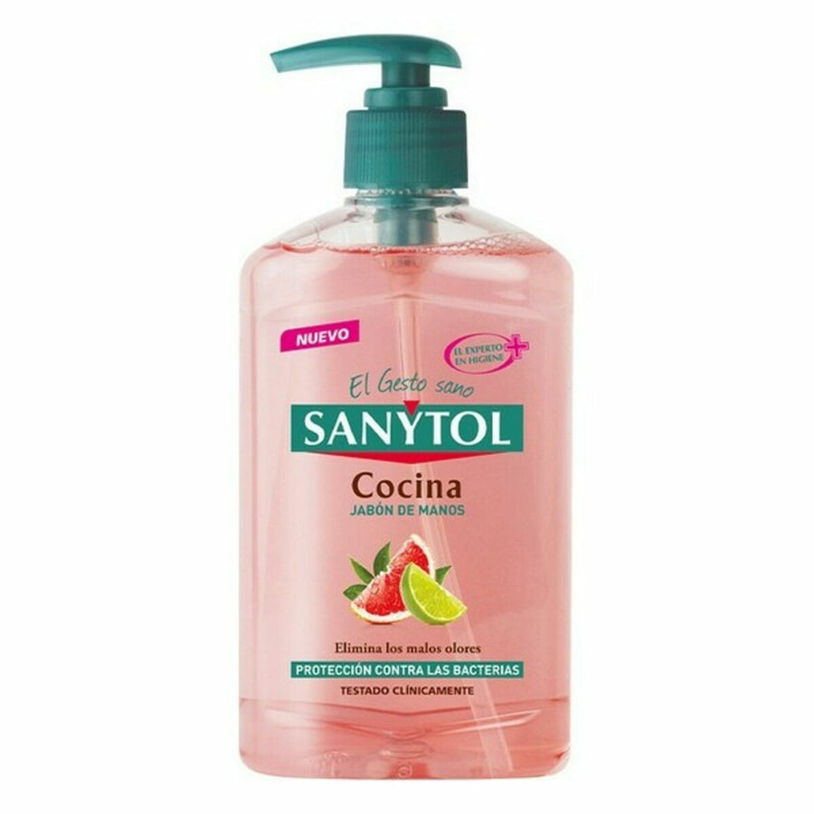 Sapone Liquido Mani con Dosatore Sanytol 280120 Cucina 250 ml