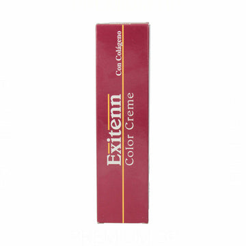 Exitenn Color Creme Permanent Dye Nr. 10/0,070 (60 ml)