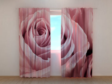 Tende Meravigliosa Rosa Rosa