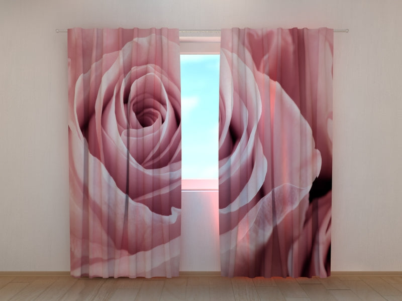 Tende Meravigliosa Rosa Rosa
