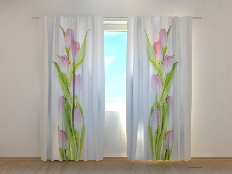 Tende Meravigliosa Tulipani Rosa