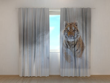 Tende Tigre Dell'Amur