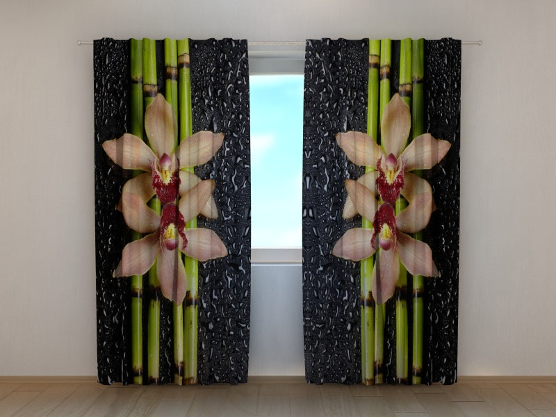 Tende Bambù, Orchidee e Gocce