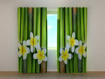 Tende Bambù e Plumeria. Prezzo conveniente