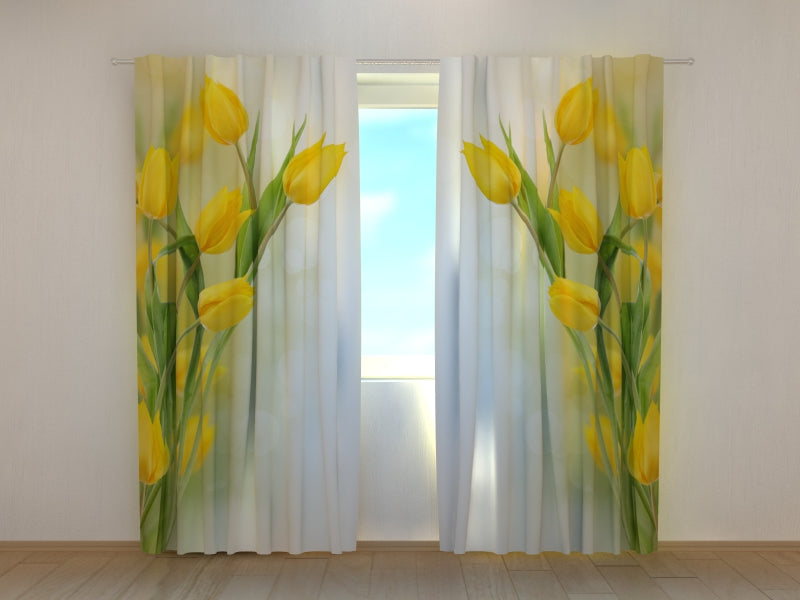 Tende Bei Tulipani Gialli