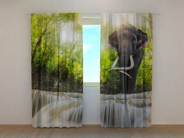 Tende Grande Elefante