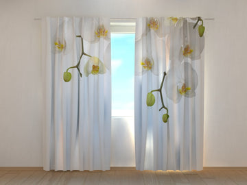Tende Grandi Orchidee