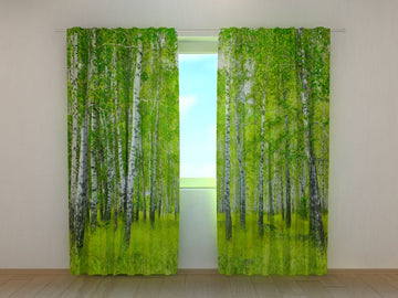Tende Foresta di Betulle