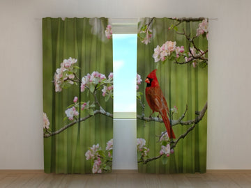 Tende Cardinale Uccello su un Ramoscello di Primavera