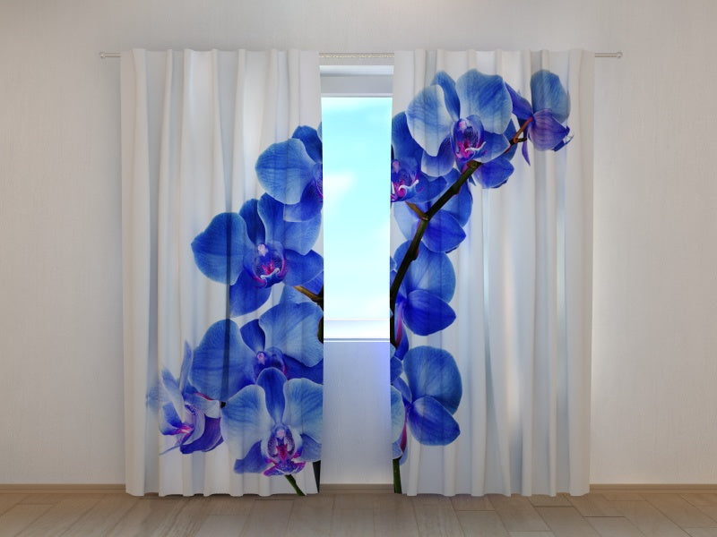 Tende Orchidea Blu. Prezzo conveniente