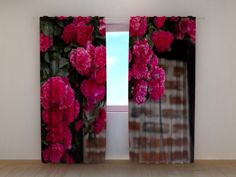 Tende Cespuglio di Rose Rosa sul Muro di Mattoni