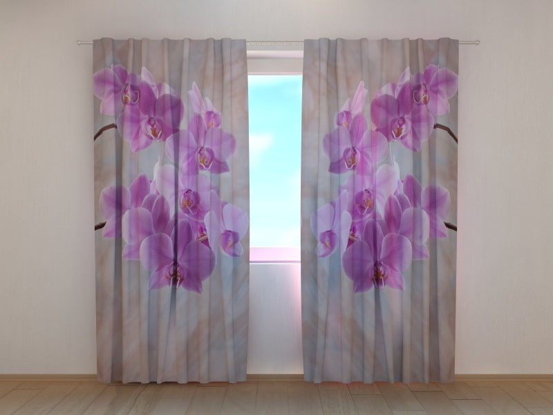 Tende Colibrì con Orchidee 2