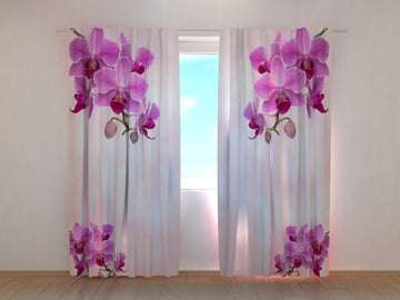 Tende Colibrì con Orchidee