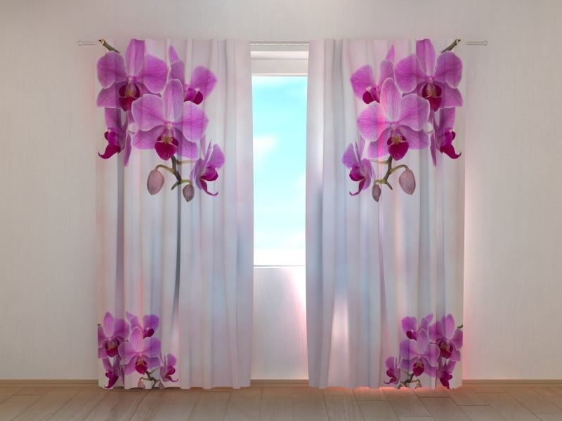 Tende Colibrì con Orchidee
