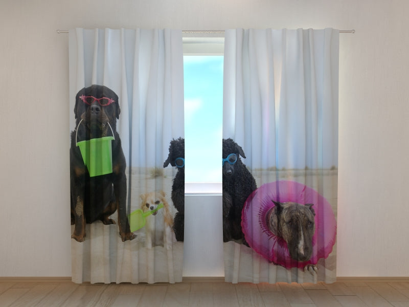 Tende Cani in Appoggio su una Spiaggia