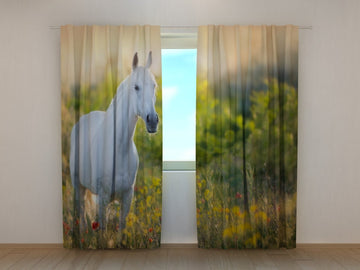 Tende Elegante Cavallo Bianco