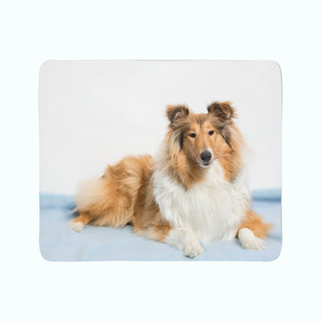 Coperta in Flanella Magnifico Collie