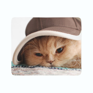 Coperta in Flanella Gatto nel Cappello