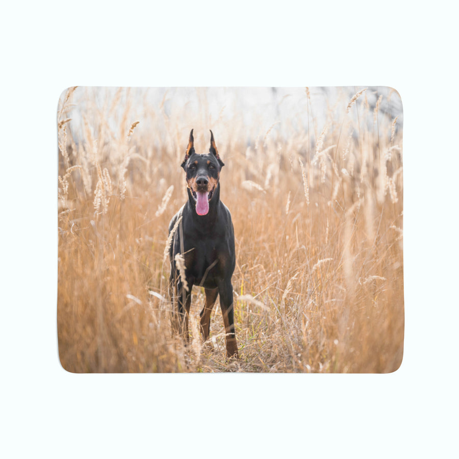 Coperta in Flanella Pinscher nell'Erba Dorata
