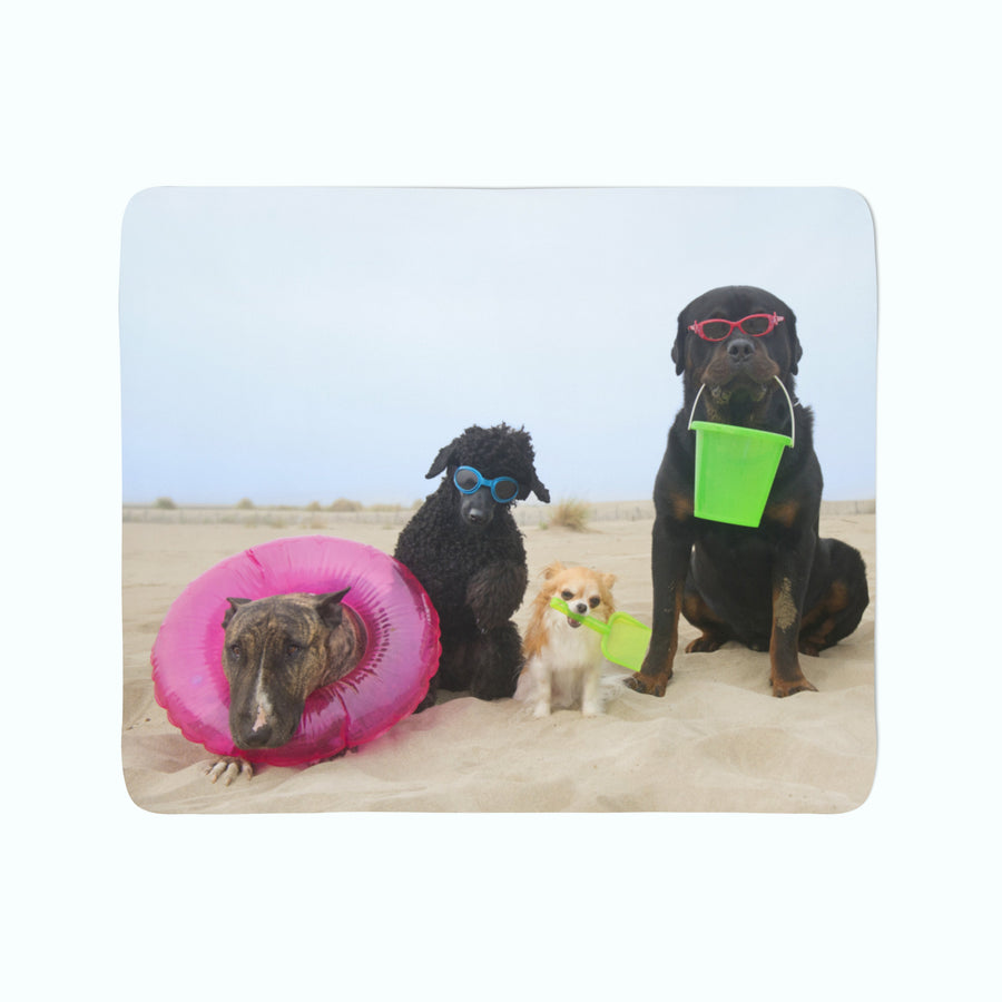 Coperta in Flanella Cani in Appoggio su una Spiaggia