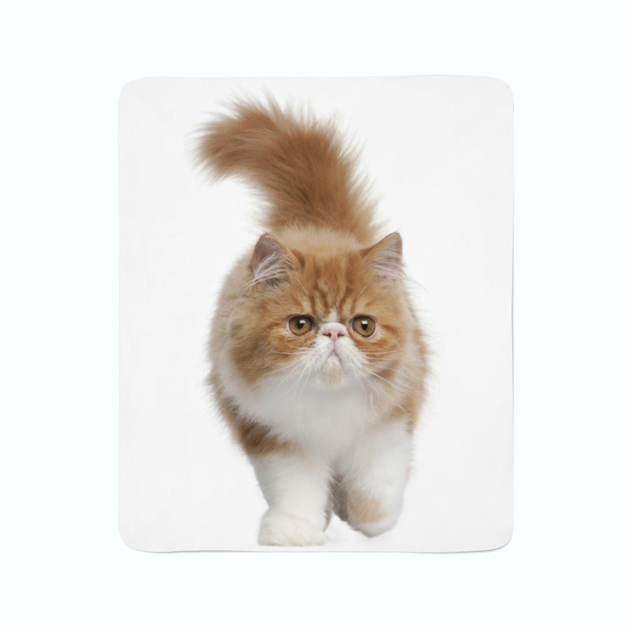 Coperta in Flanella Gatto Birichino
