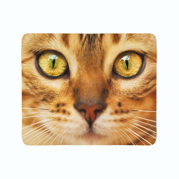 Coperta in Flanella Gatto Rosso