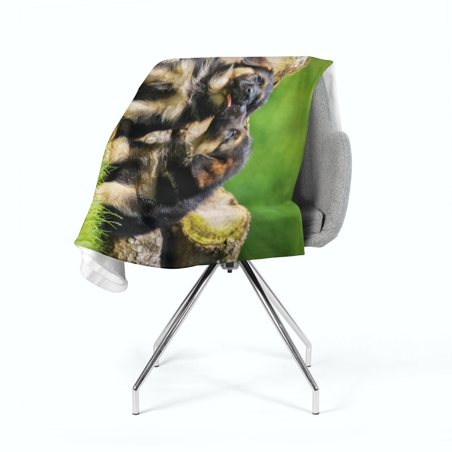 Coperta in Flanella Cuccioli di Pastore Tedesco Carini