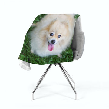 Coperta in Flanella Pomerania Felice