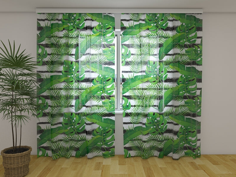 Tende Piante Esotiche Tropicali