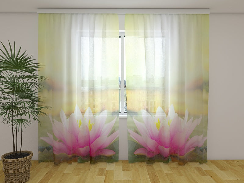 Tende Fiore di Loto Rosa al Sole del Mattino