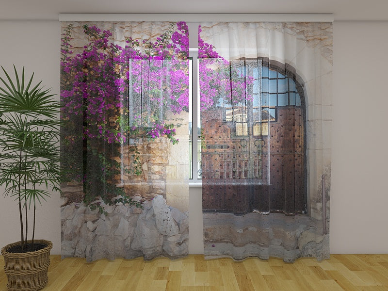 Tende Cespuglio Viola e Vecchia Porta