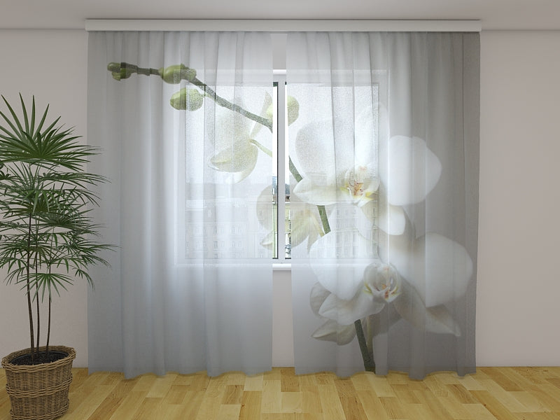 Tende Riga Orchidea. Prezzo conveniente