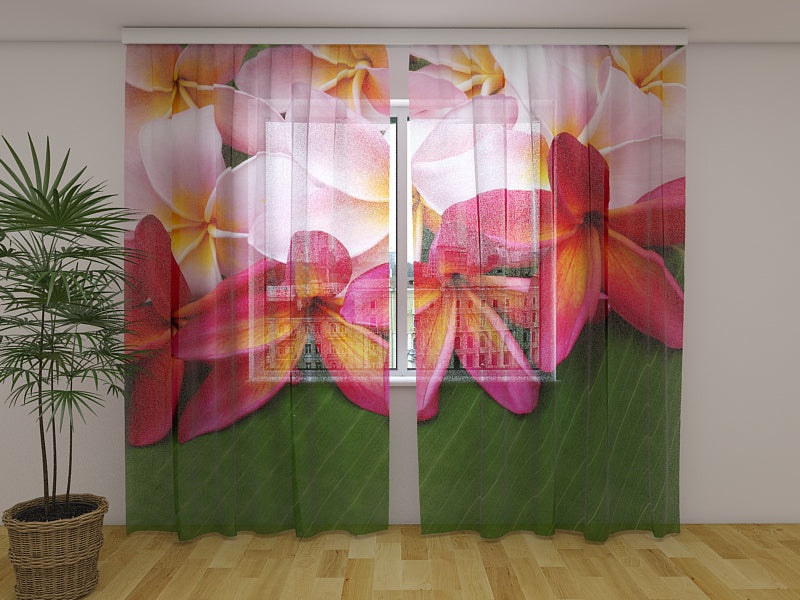 Tende Fiori Tropicali 3