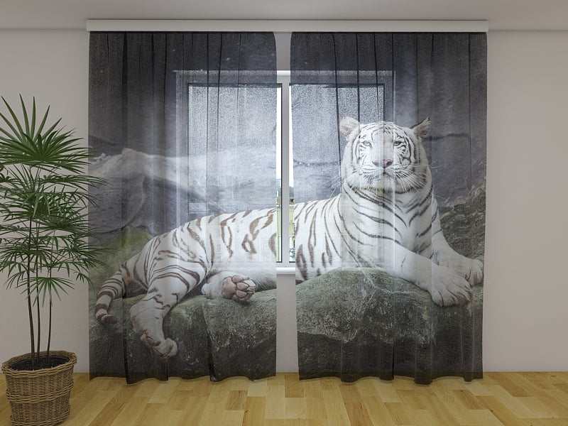Tende Tigre Bianca su Roccia