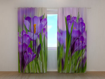Tende Primi Crocus. Prezzo conveniente