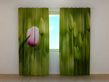 Tende Primo Tulipano Rosa. Prezzo conveniente