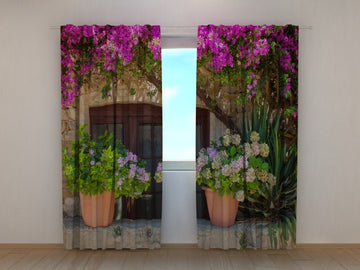 Tende Fiori in Vaso