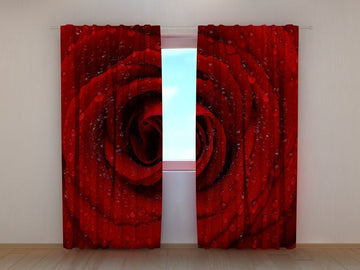 Tende Rosa Rossa Fresca