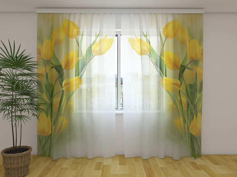 Tende Bei Tulipani Gialli