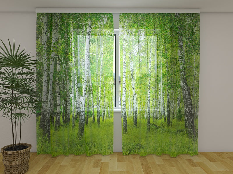 Tende Foresta di Betulle