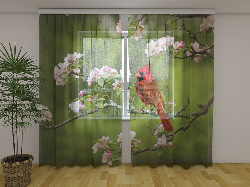 Tende Cardinale Uccello su un Ramoscello di Primavera