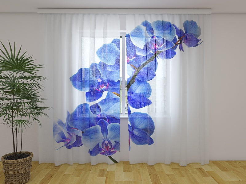 Tende Orchidea Blu. Prezzo conveniente