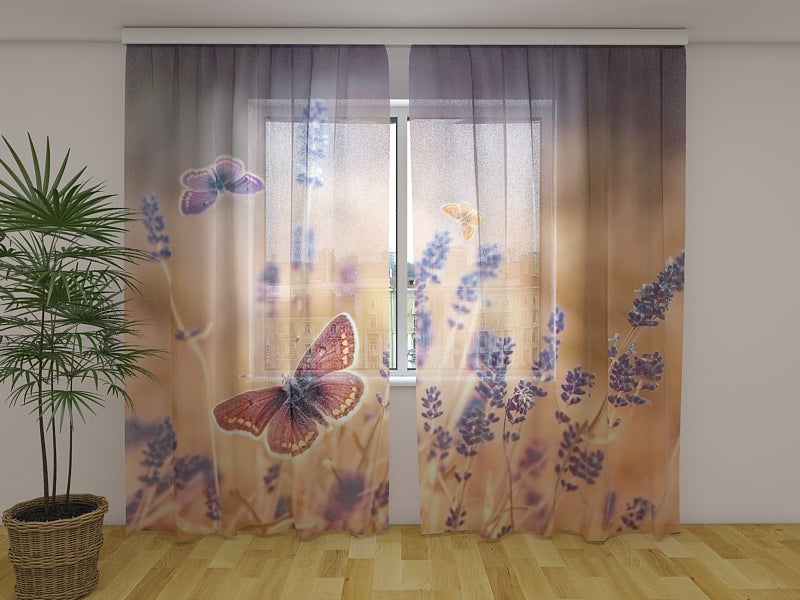 Tende Farfalle sulla Lavanda