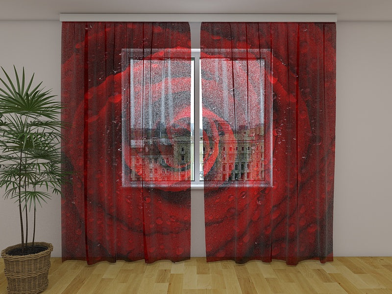 Tende Rosa Rossa Fresca
