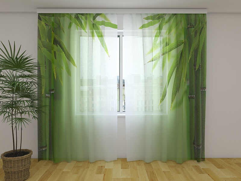 Tende Bambù Verde 2