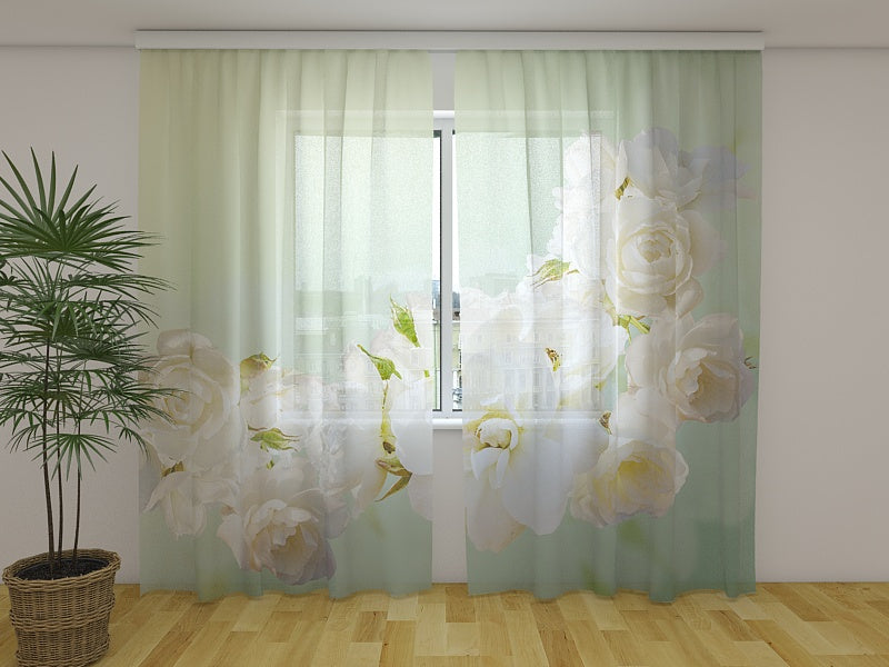 Tende Rose Menta