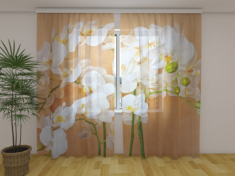 Tende Orchidee Asiatiche
