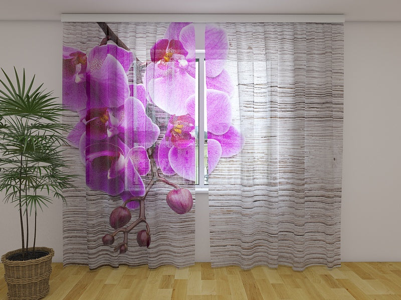 Tende Orchidee e Albero 2