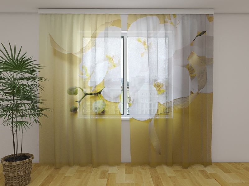 Tende Orchidee su Oro